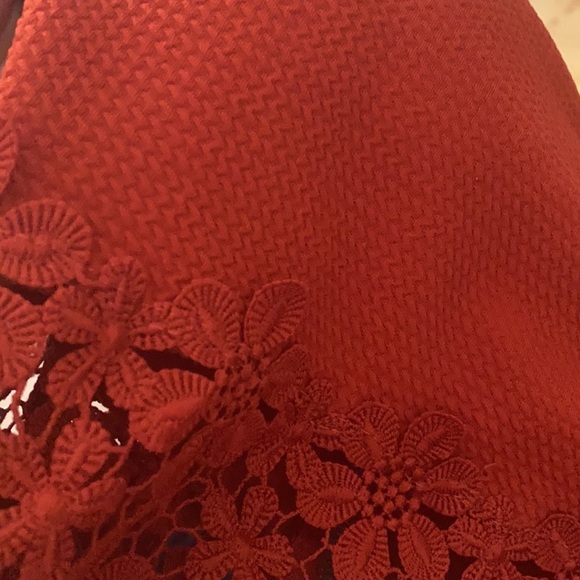 Burnt Orange Lace Sara la Crop Top- Size L (EUC) - Picture 4 of 4